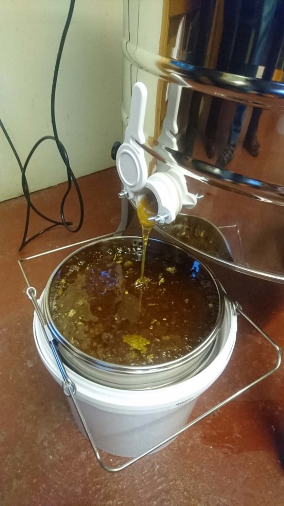 YDBKA-beginners-honey-extraction-demo-2018-06